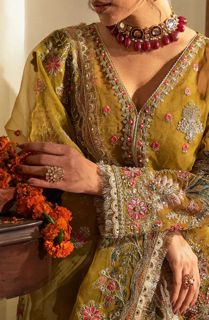 Mehro Maa Amber Embellished Organza Suit