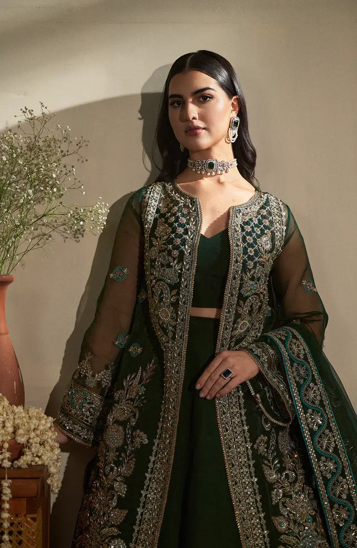 Mehro Maa Emerald Embellished Organza Suit