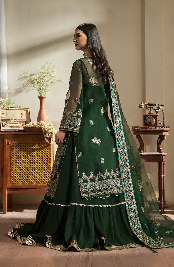 Mehro Maa Emerald Embellished Organza Suit