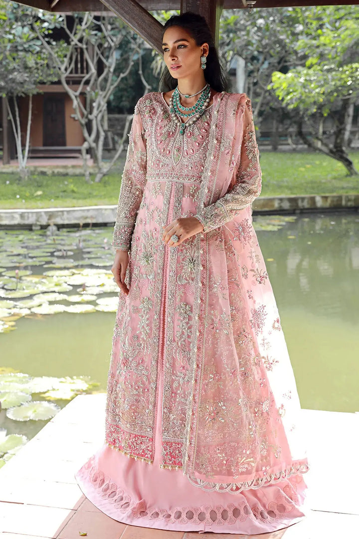 Enaara Meer Unstitched 3 Piece Festive Vol-01 Collection