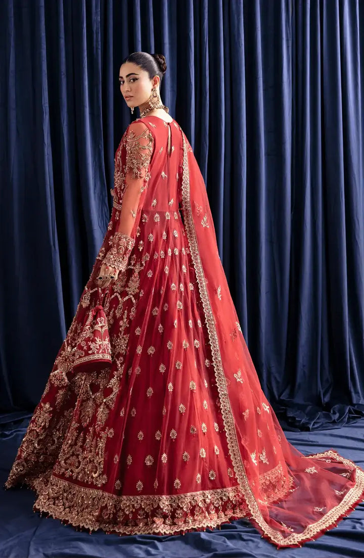 Zebaish Leela Embroidered & Embellished Net Suit with Organza Dupatta