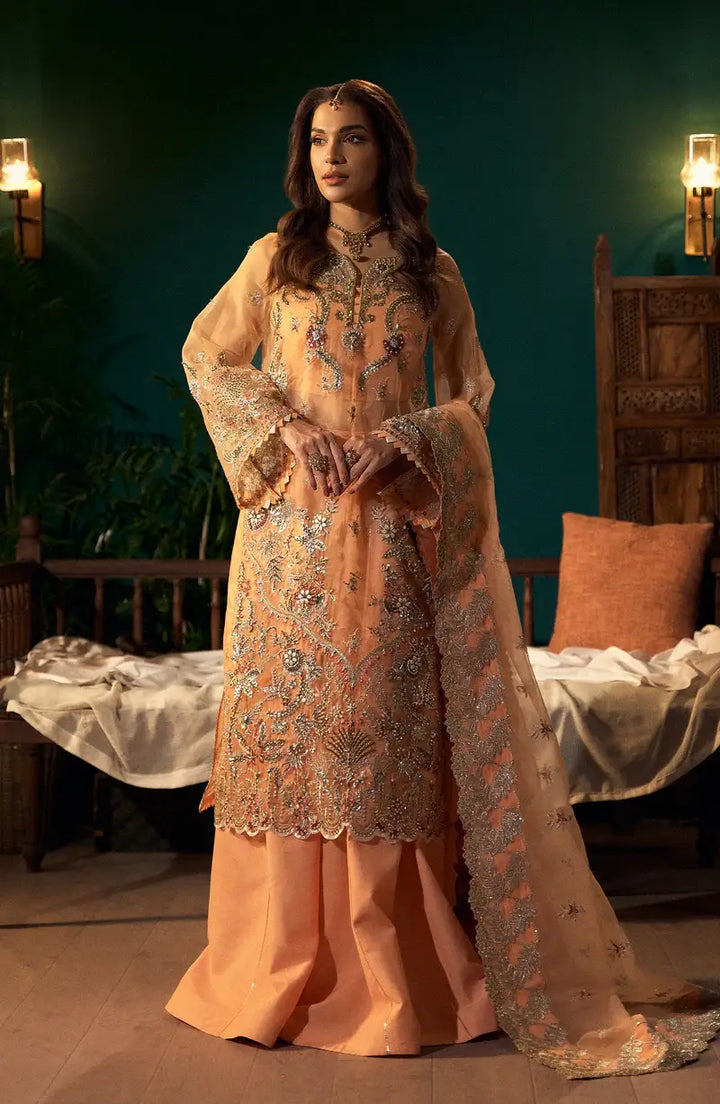 Mehro Maa Morganite Embellished Organza Suit