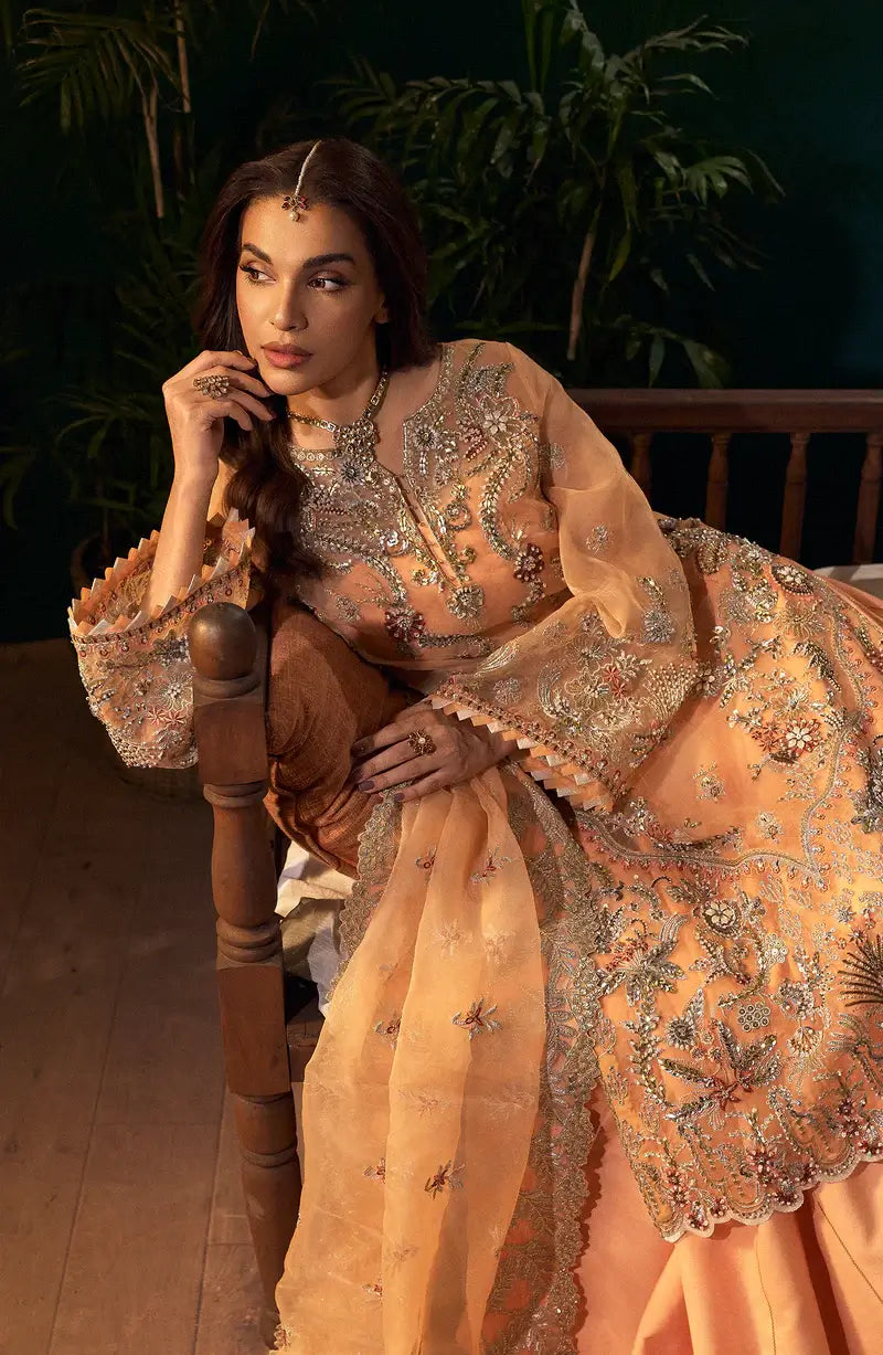Mehro Maa Morganite Embellished Organza Suit