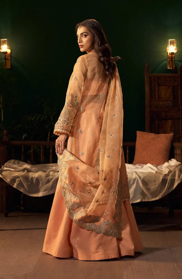 Mehro Maa Morganite Embellished Organza Suit