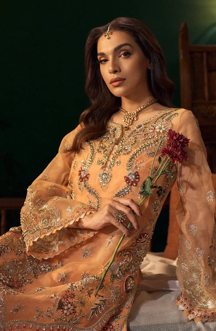 Mehro Maa Morganite Embellished Organza Suit