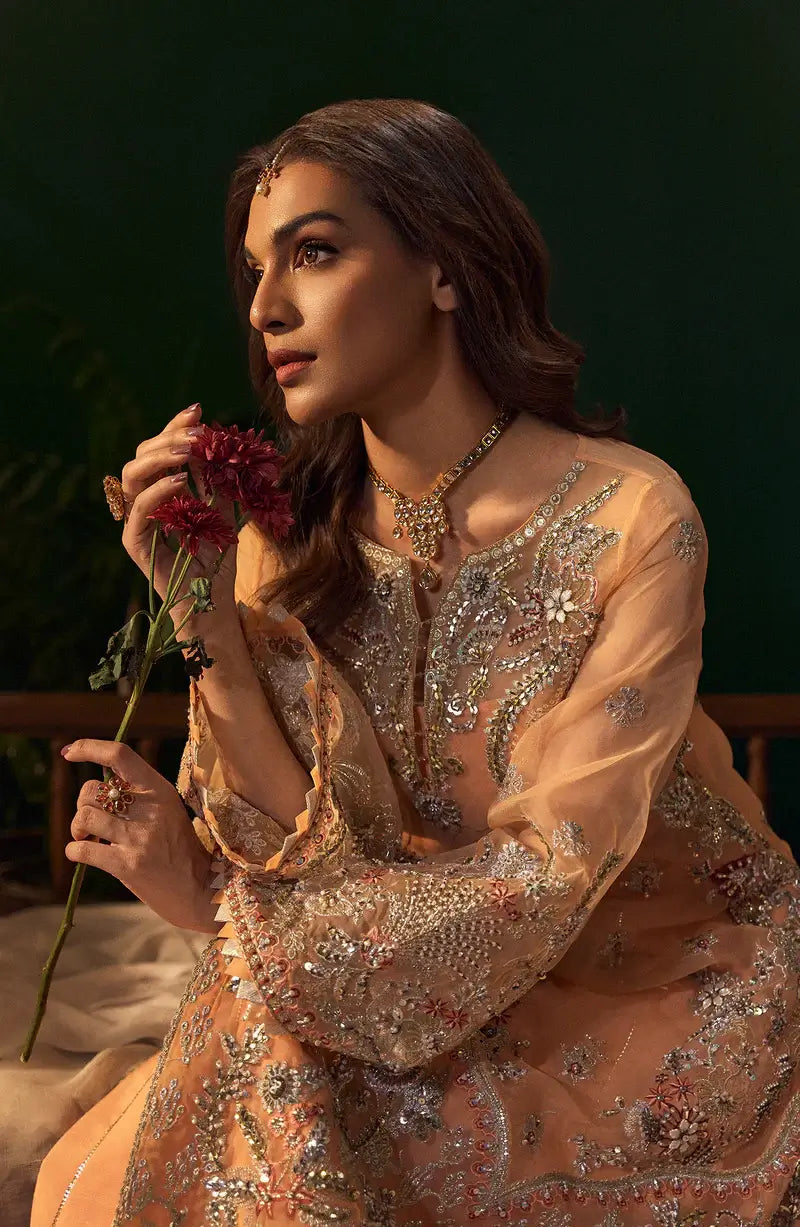 Mehro Maa Morganite Embellished Organza Suit
