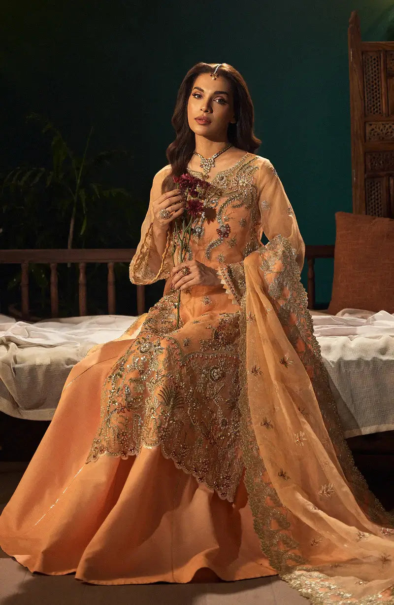 Mehro Maa Morganite Embellished Organza Suit