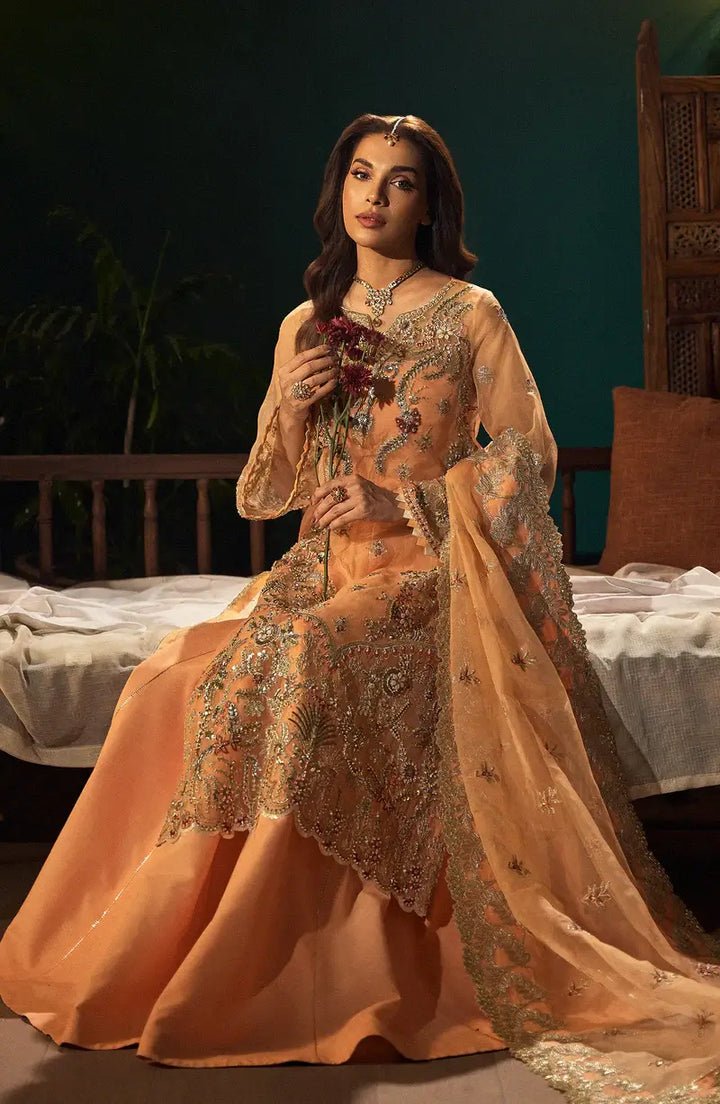 Mehro Maa Morganite Embellished Organza Suit