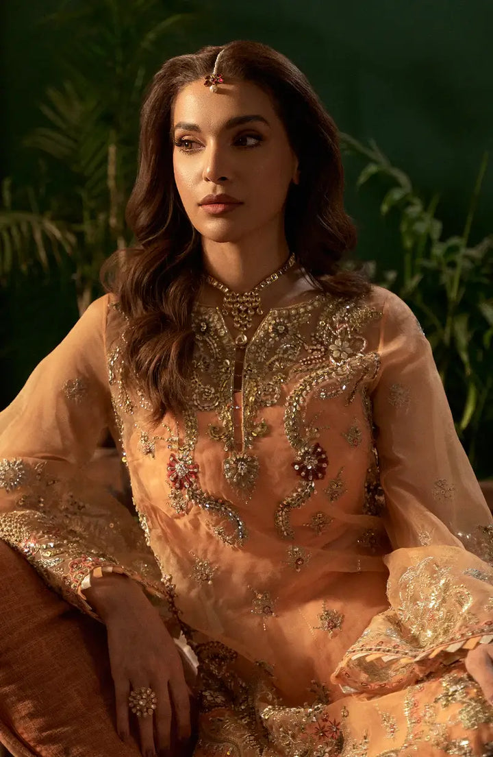 Mehro Maa Morganite Embellished Organza Suit