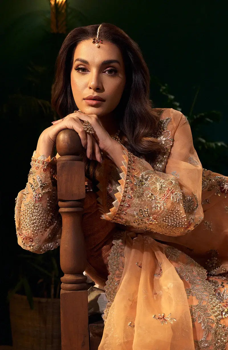 Mehro Maa Morganite Embellished Organza Suit