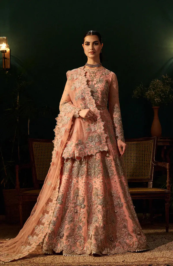 Mehro Maa Rose Embellished Net Suit