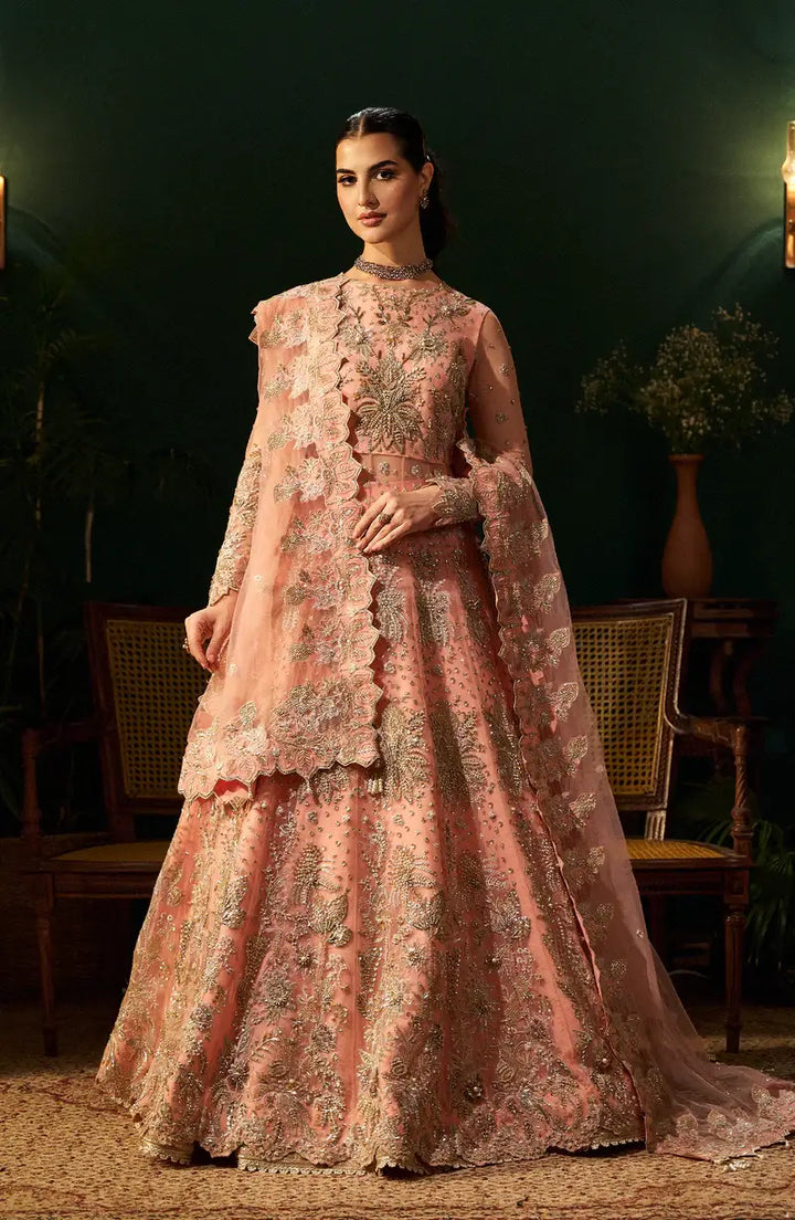 Mehro Maa Rose Embellished Net Suit