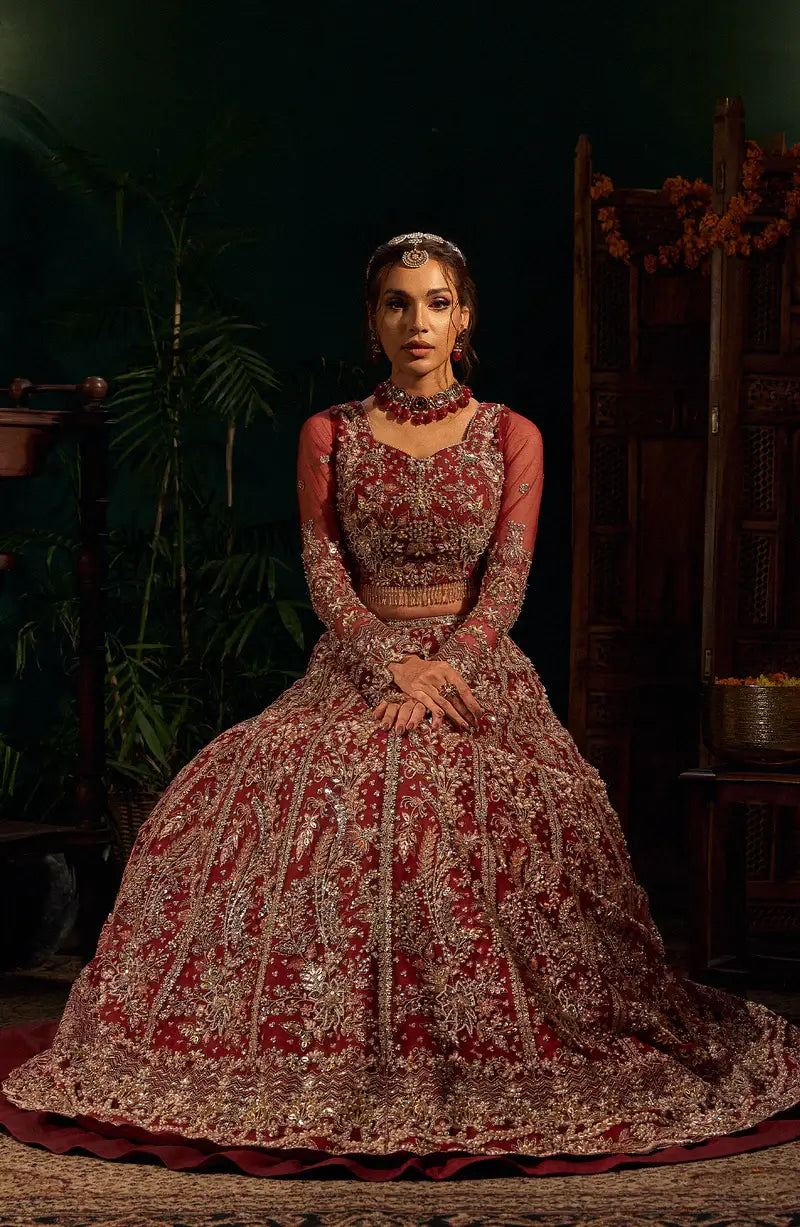 Mehro Maa Ruby Embellished Net Suit