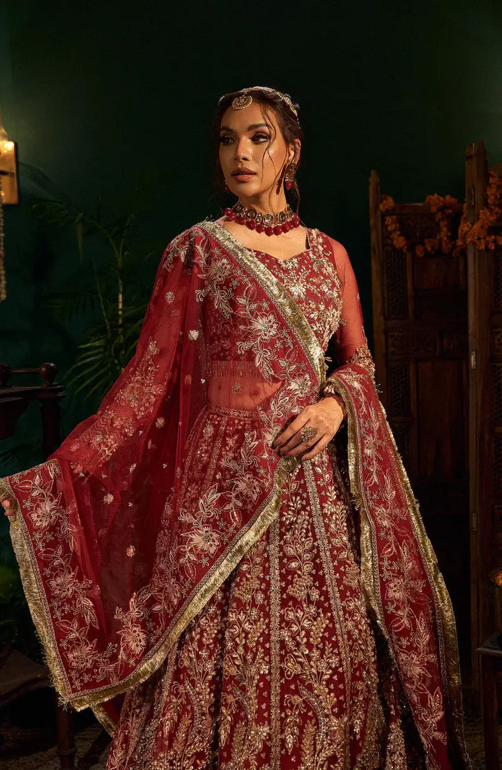 Mehro Maa Ruby Embellished Net Suit