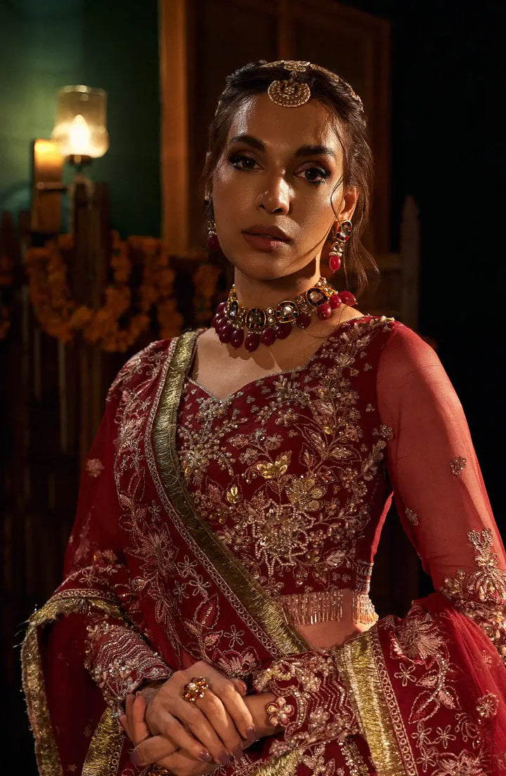 Mehro Maa Ruby Embellished Net Suit